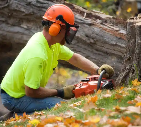 tree services South Lebanon